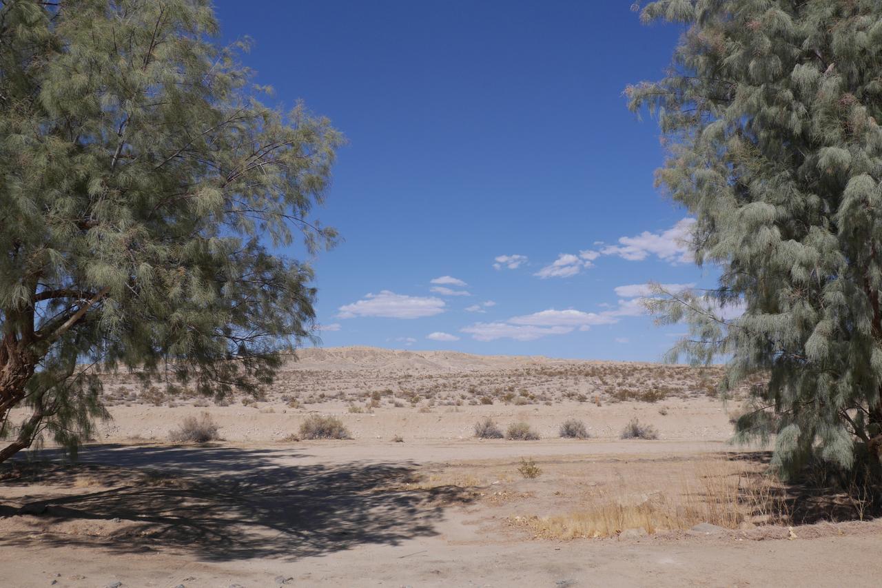 Hotel Campbell House Twentynine Palms Exterior foto